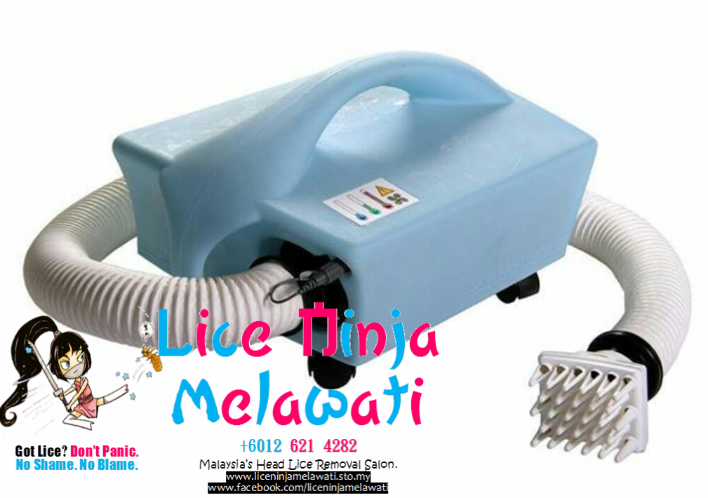 Head Lice Treatment in Kuala Lumpur Malaysia