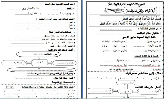 الثانى - نماذج امتحانات لغة عربية "جديدة لانج" للصف الثالث الابتدائى الفصل الدراسى الثانى 12998573_1603213203334009_7517498233647003101_n