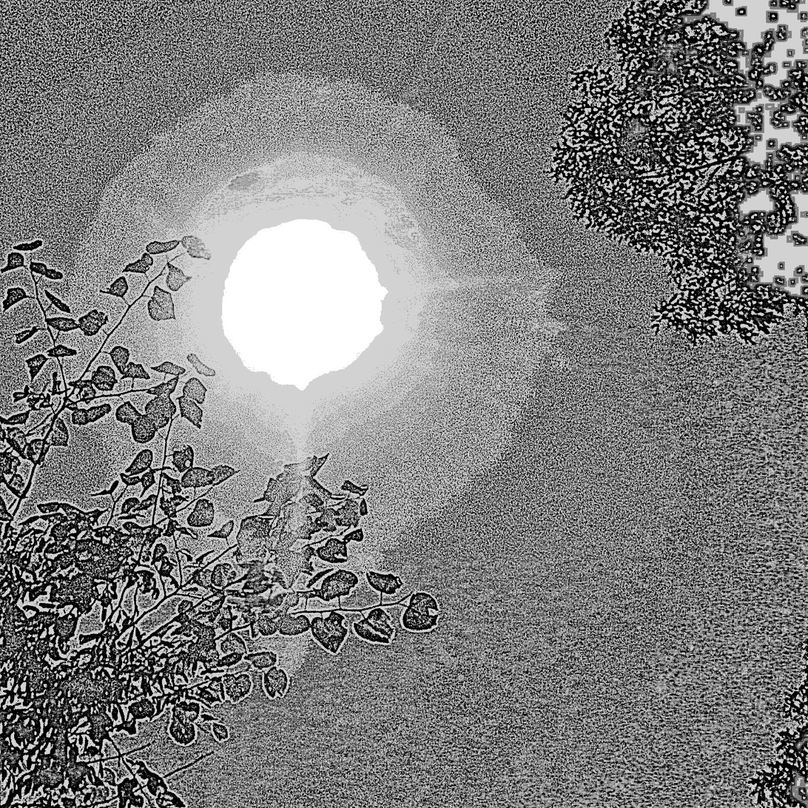 Totally random photos by me fun and highly edited photographs