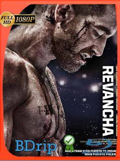 Revancha  (2015) BDRIP 1080p Latino [GoogleDrive] SXGO