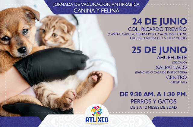 Ayuntamiento de Atlixco exhorta a participar en la Jornada de Vacunación Antirrábica Canina y Felina; concluye el 06 de julio.