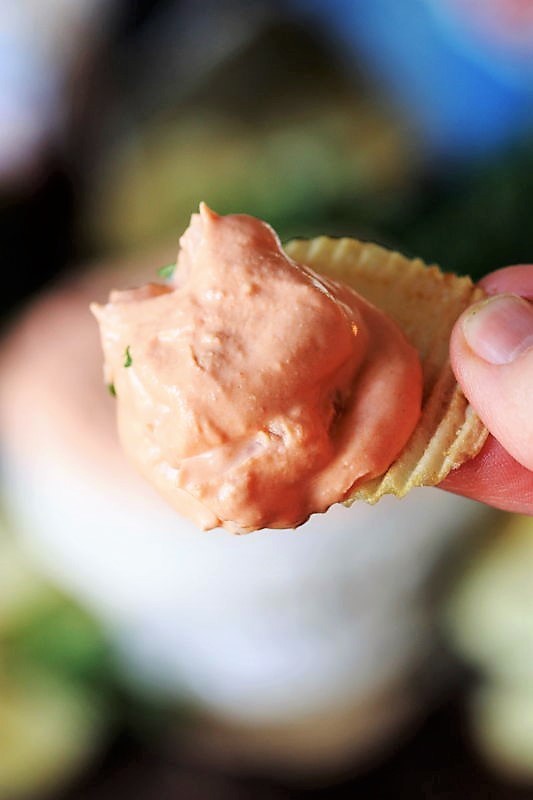 3Ingredient Shrimp Cocktail Dip The Kitchen is My Playground