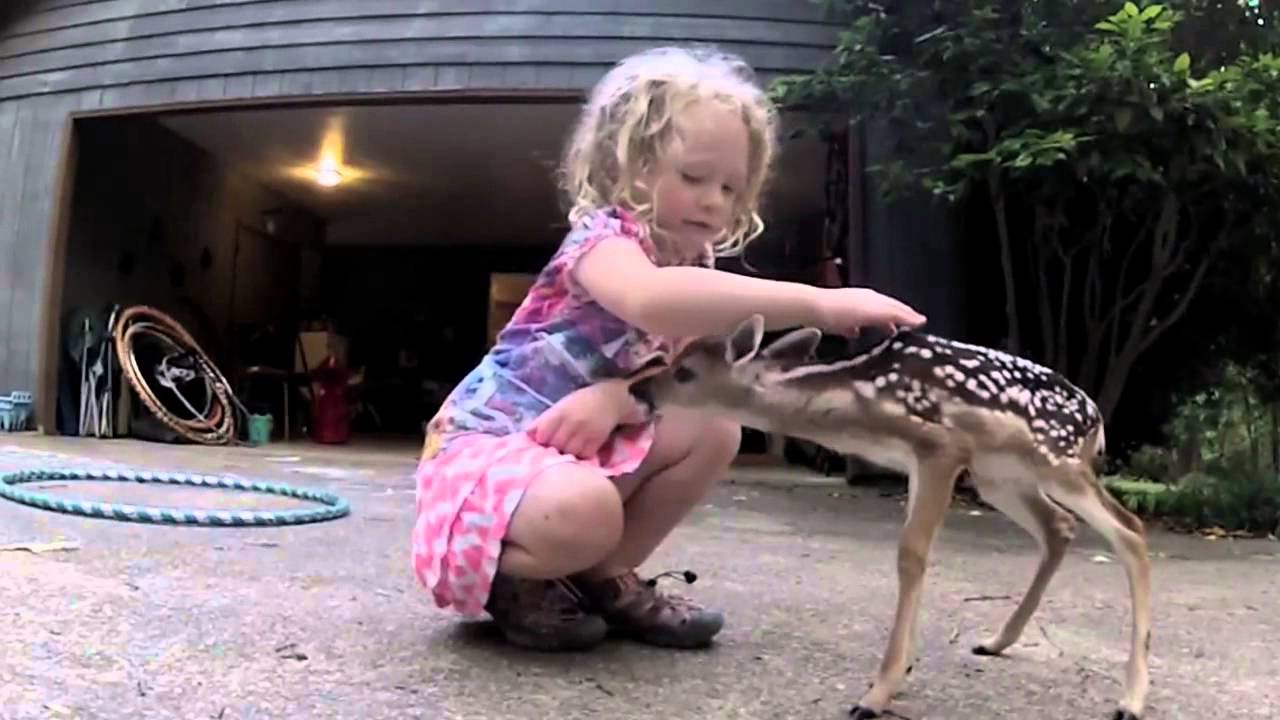 The Bond Between this Little Girl & a Baby Deer is Adorable! ROFLwall