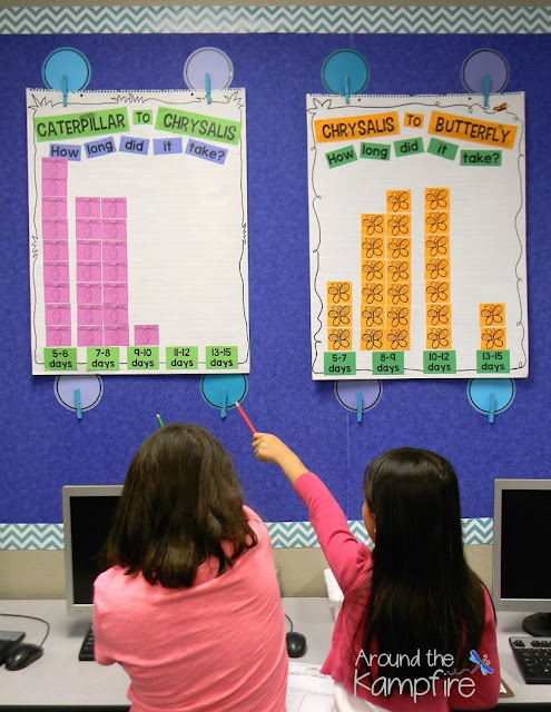 Butterfly math activities~ Graphing the life cycle