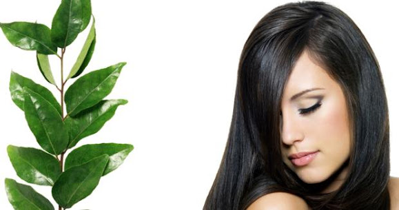 Follow This Simple Method To Use Curry Leaves For Faster Hair Growth