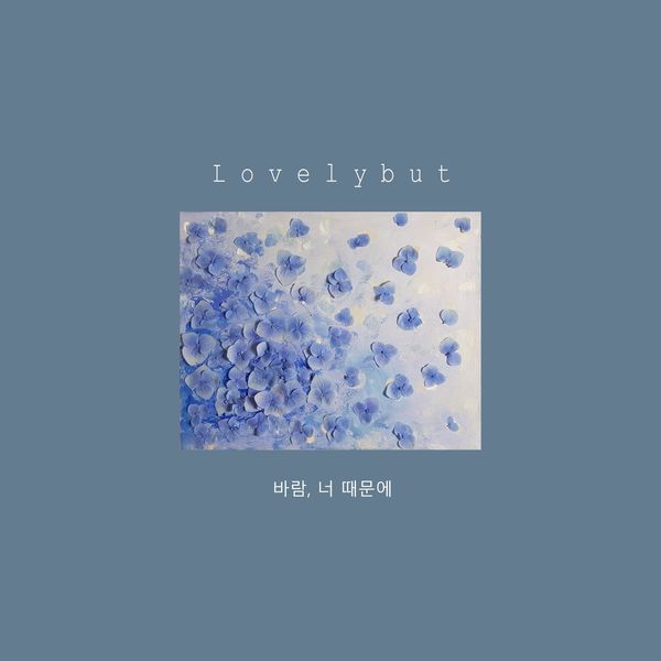 Lovelybut – Wind, Because of you – Single