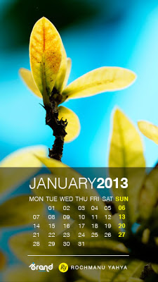 Free Collection Wallpaper Calendar of January 2013 iphone