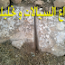 السيال انواعه و دلالاته السيال انواعه و دلالاته