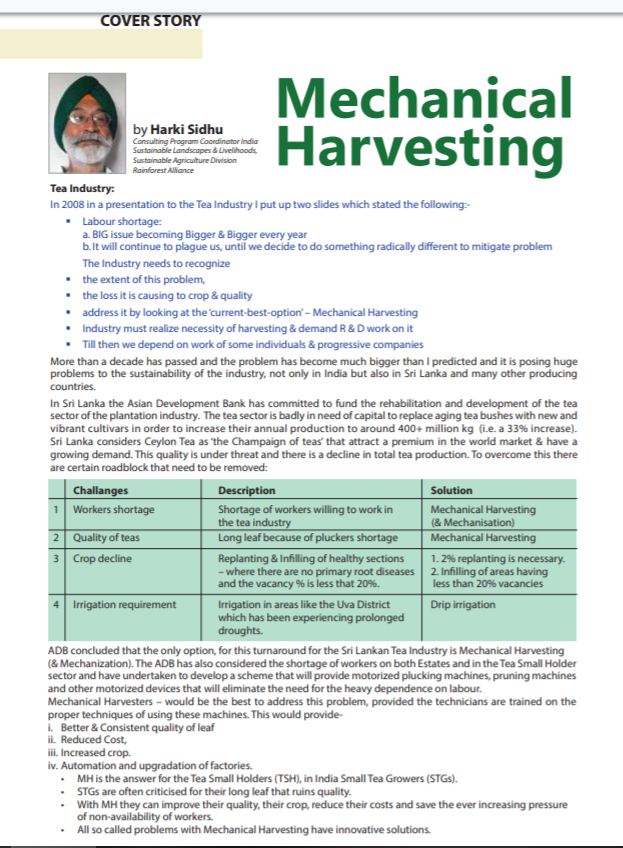 TeaChai Mechanical Harvesting
