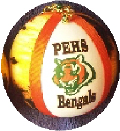 Craft Fair Plainfield High School