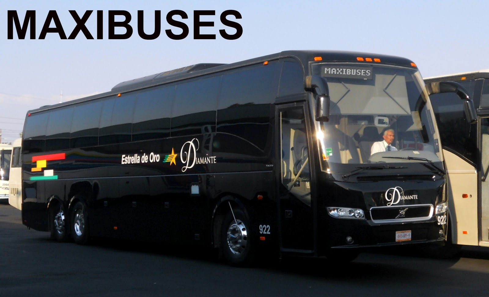 MAXIBUSES ESTRELLA DE ORO DIAMANTE NUEVAS UNIDADES MAXIBUSES ESTRELLA DE ORO DIAMANTE NUEVAS UNIDADES