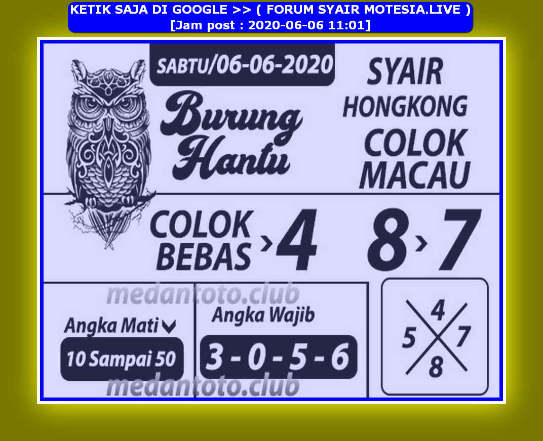 forum syair hk Meloditogel