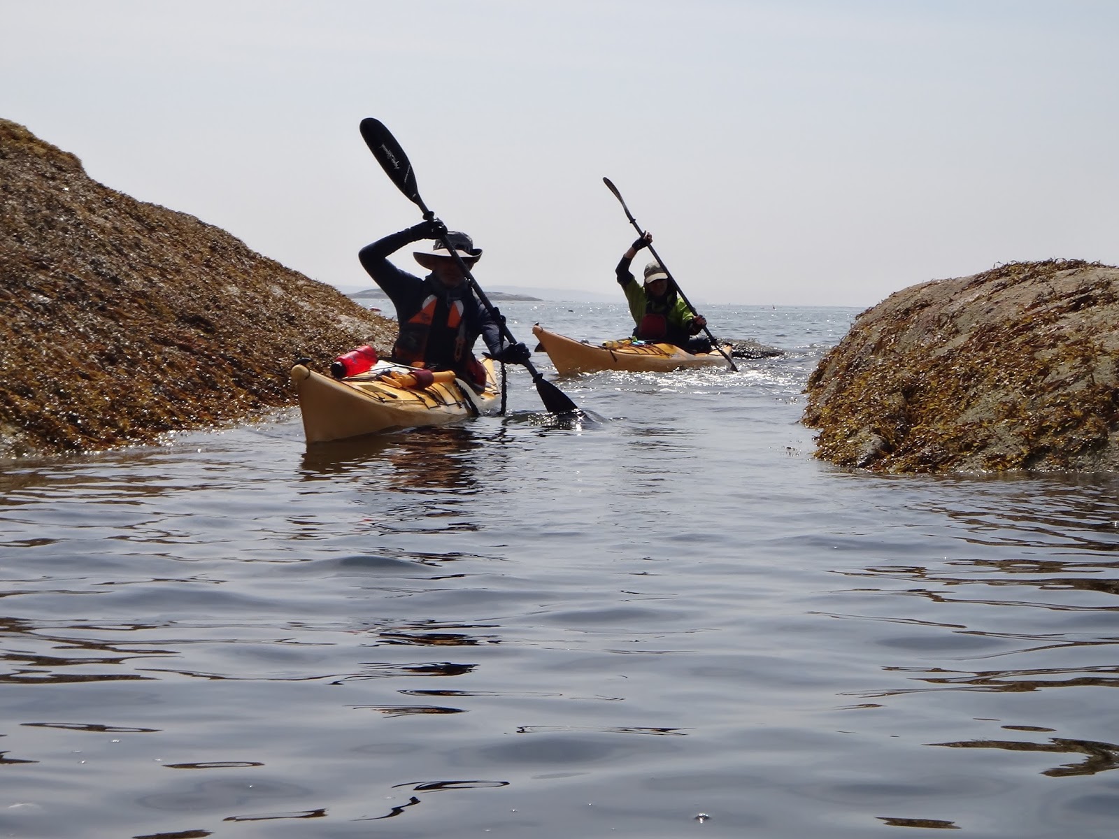 Sea Kayak Stonington Around Swans Island in Four Days