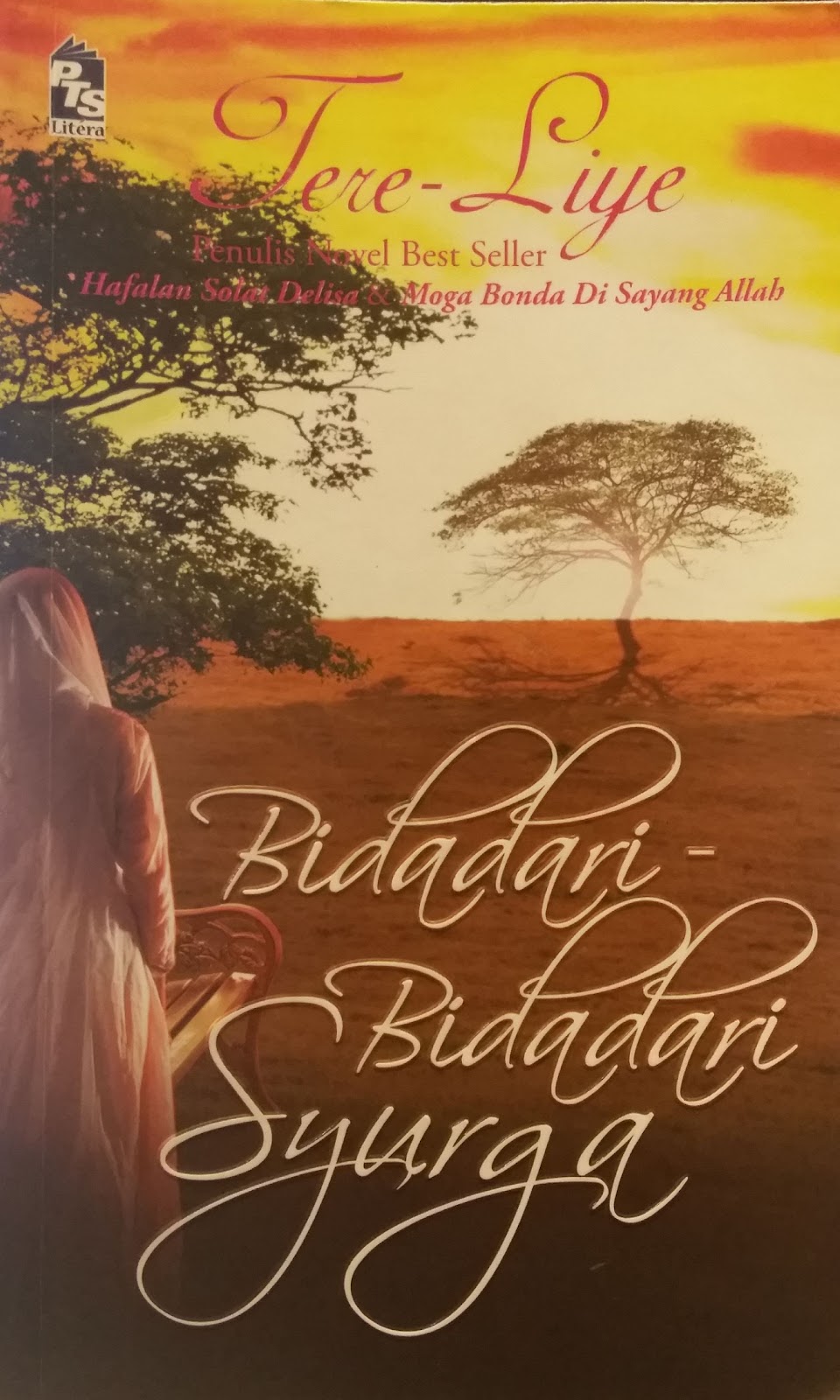 [Buku] Bidadaribidadari Surga (Tere Liye)