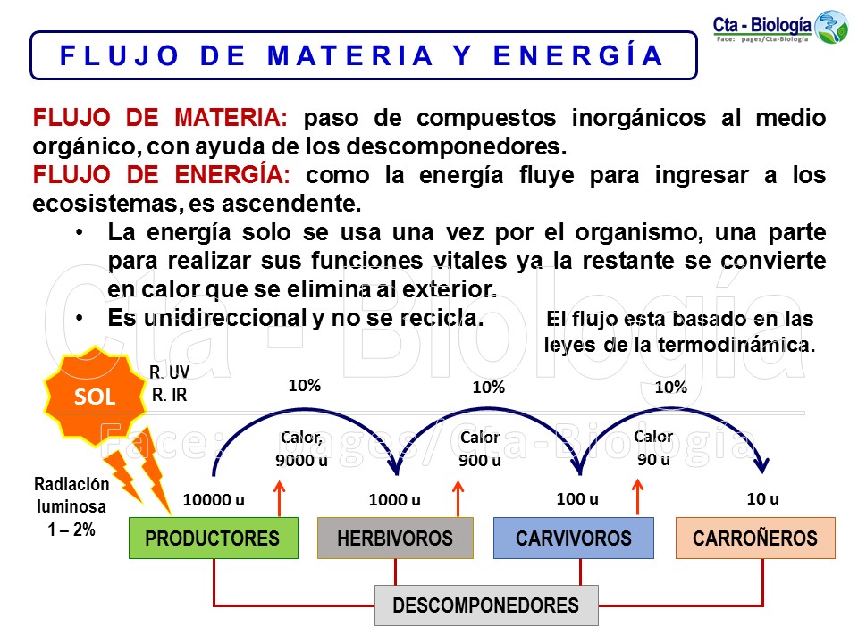 Que Es El Analisis De La Materia Y La Energia biologia-didactica.blogspot.com