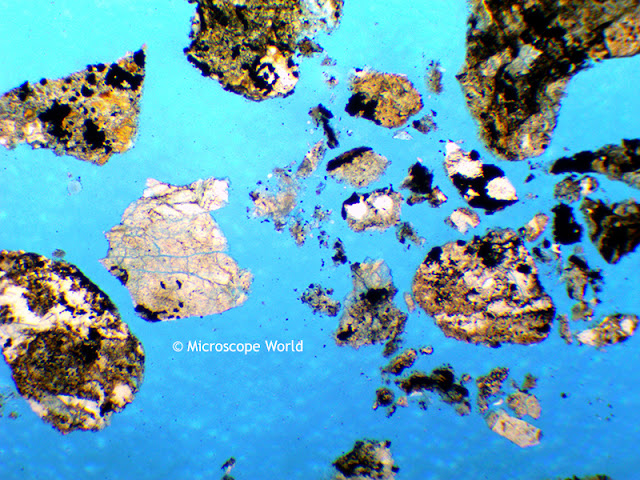Soil under the microscope at 40x.