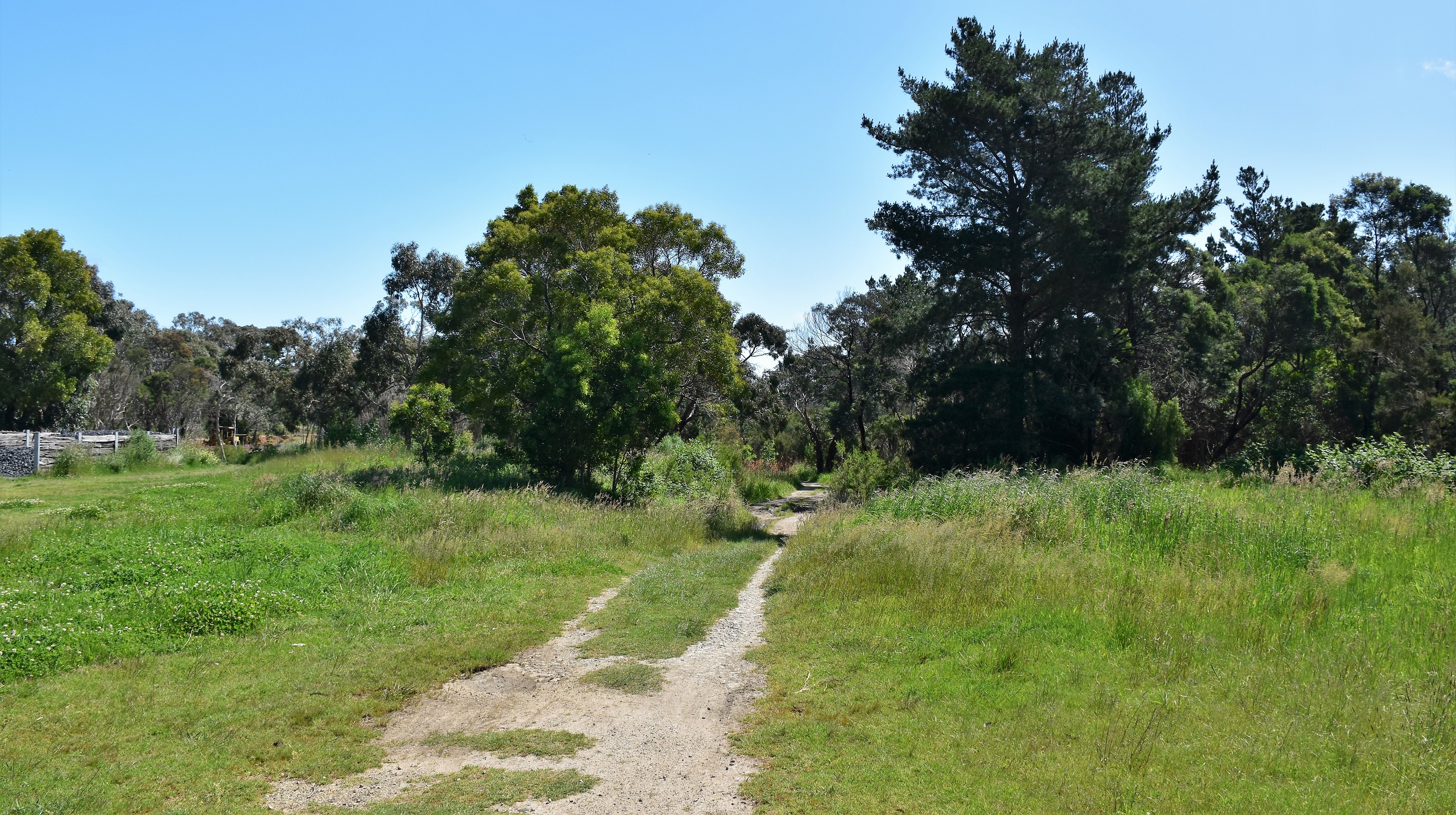 Goin' Feral One Day At A Time Moorooduc Quarry Walk, Moorooduc Quarry