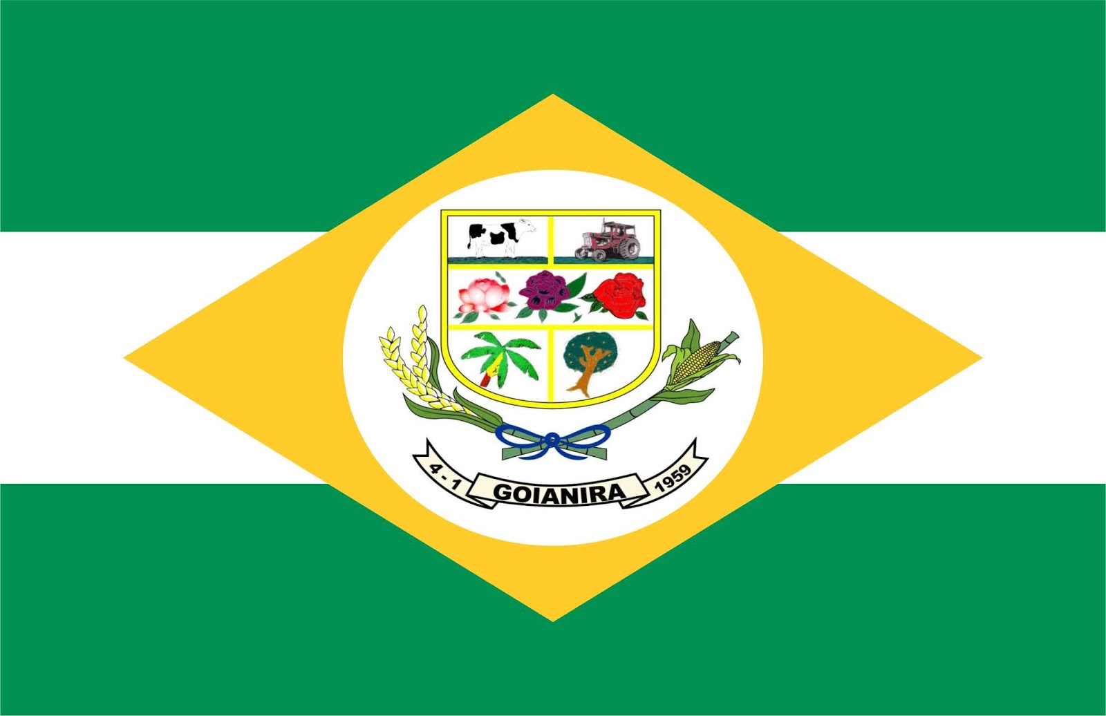 Certidão de Nascimento em Goianira