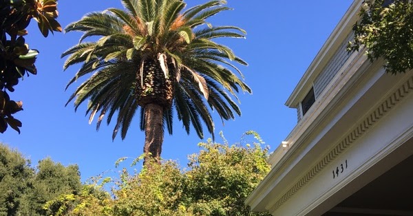 Weekend Adventures Update: Palo Alto: Elizabeth F. Gamble Garden