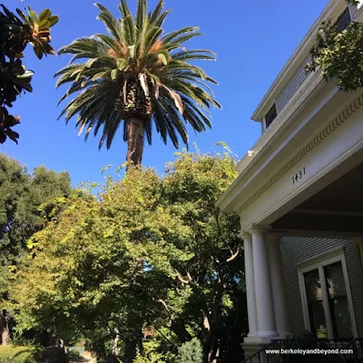 house and palm tree at Elizabeth F. Gamble Garden in Palo Alto, California