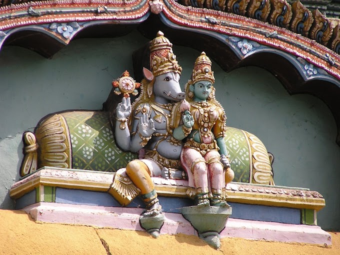 శ్రీ వరాహస్వామివారి ఆలయ విశేషాలు - Sri Varahaswamy Temple