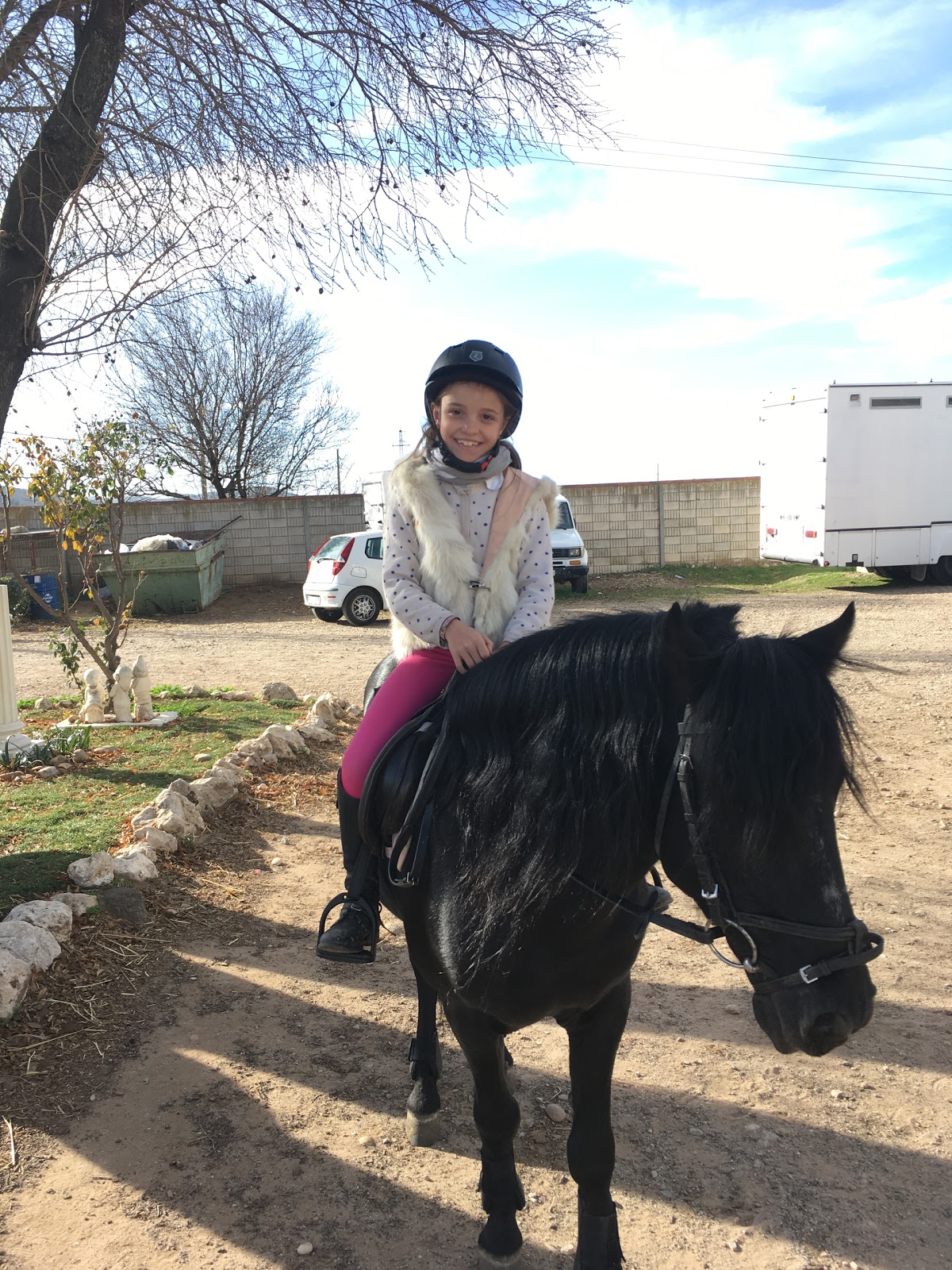 CENTRO ECUESTRE MONTUENGA ¿Equitación?