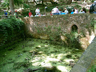 La bassa de la Font de Sant Mateu