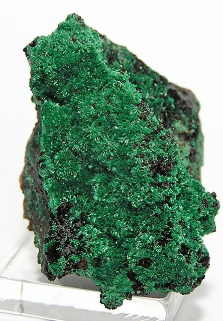 Кристаллический зеленый. Малахит Кристалл. Зеленый Кристалл малахита. Кристаллы минералы малахит. Самородный малахит.