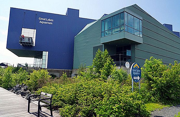 Great Lakes Aquarium Greg Gjerdingen