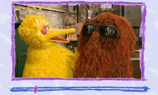 Big Bird says that sometimes friends can argue too, and that he and Snuffy sometimes argue. Sesame Street Elmo's World Friends Video E-Mail