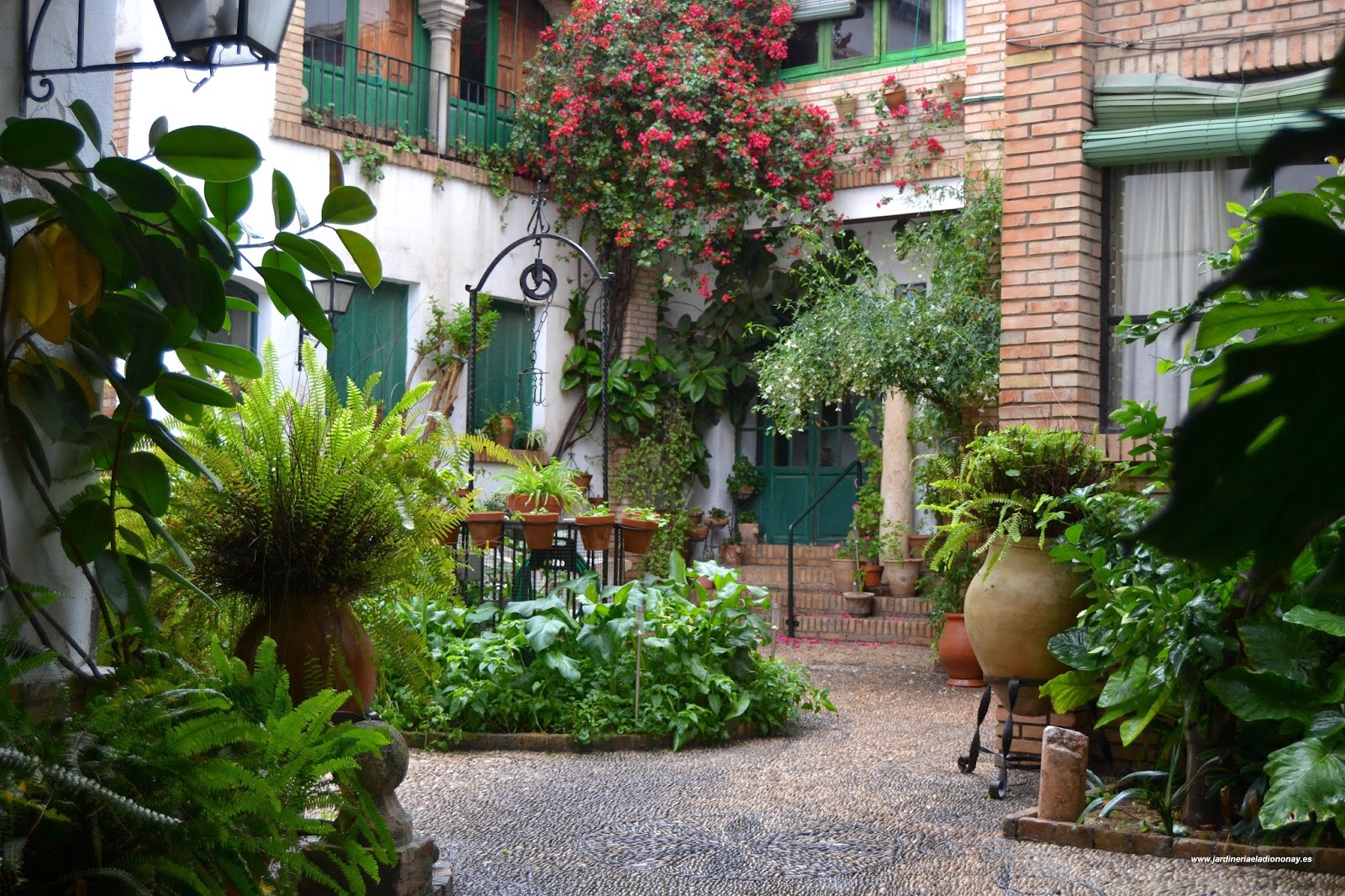 Jardineria Eladio Nonay: PATIOS ANDALUCES (Jardinería Eladio Nonay)