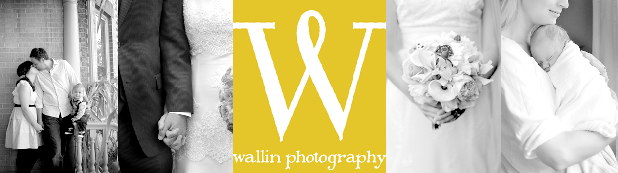 wallin photography