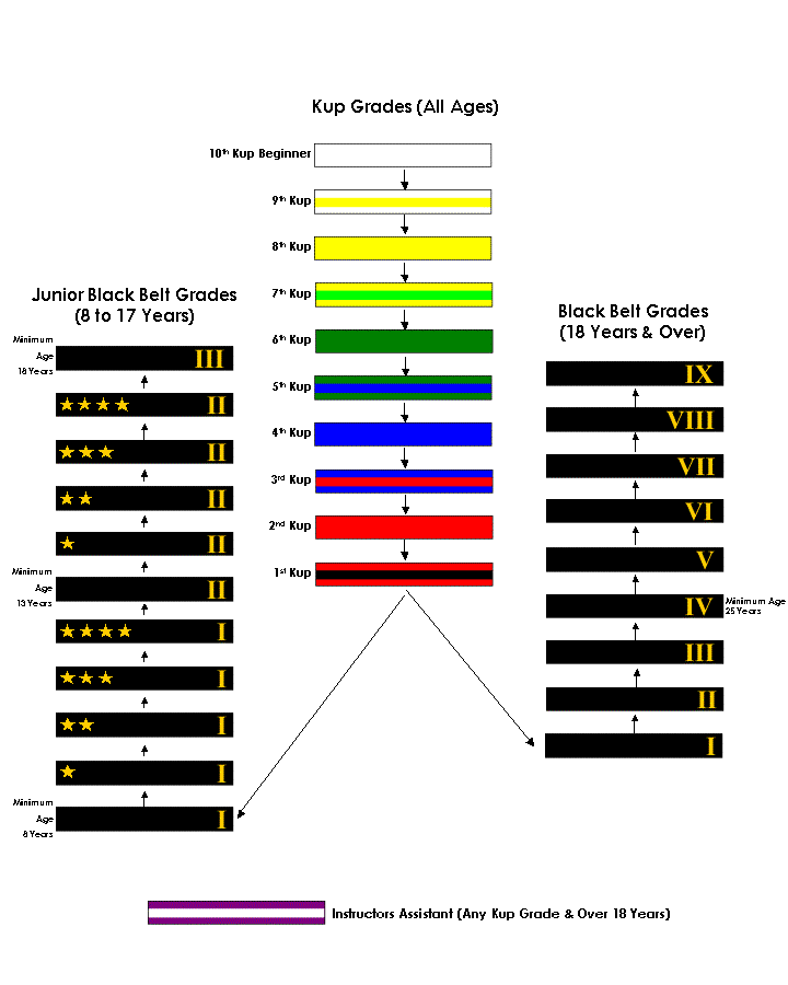 Belt Overview 2009 For Handbook 