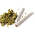 Do You Know That Marijuana Can Subdue & Cure Autism In Children? - Must Read