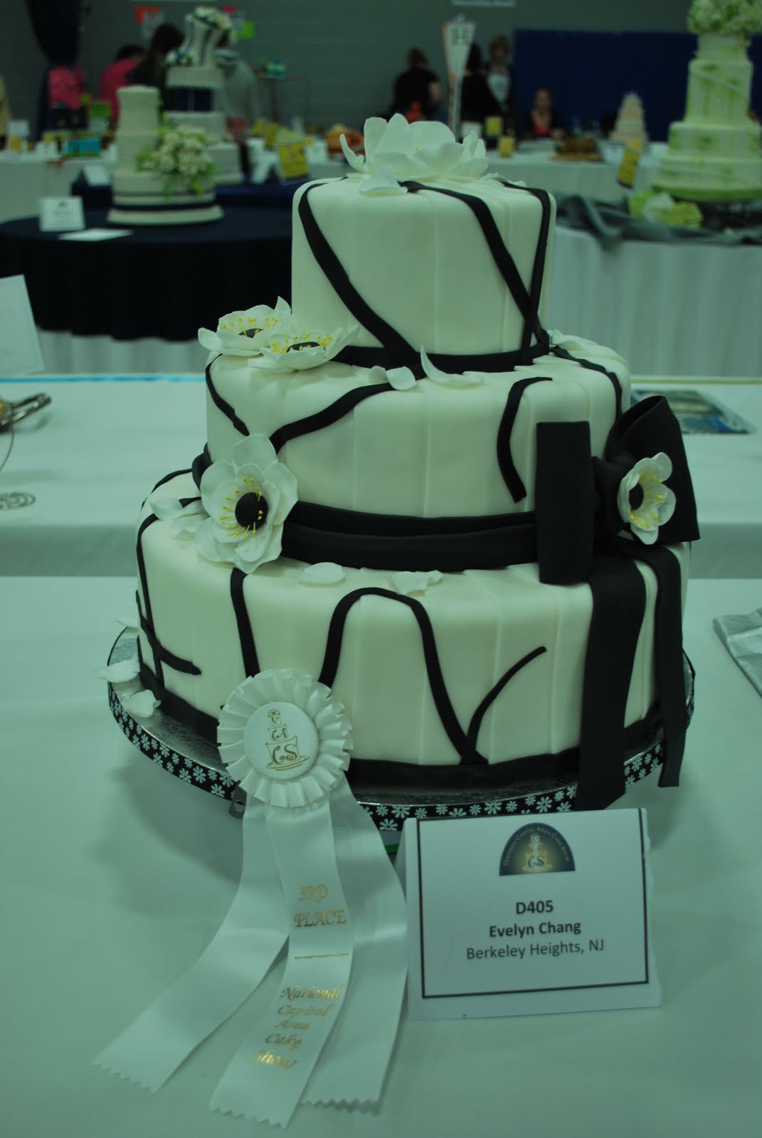Hotkist's Blog: 2011 National Capitol Area Cake Show by International ...