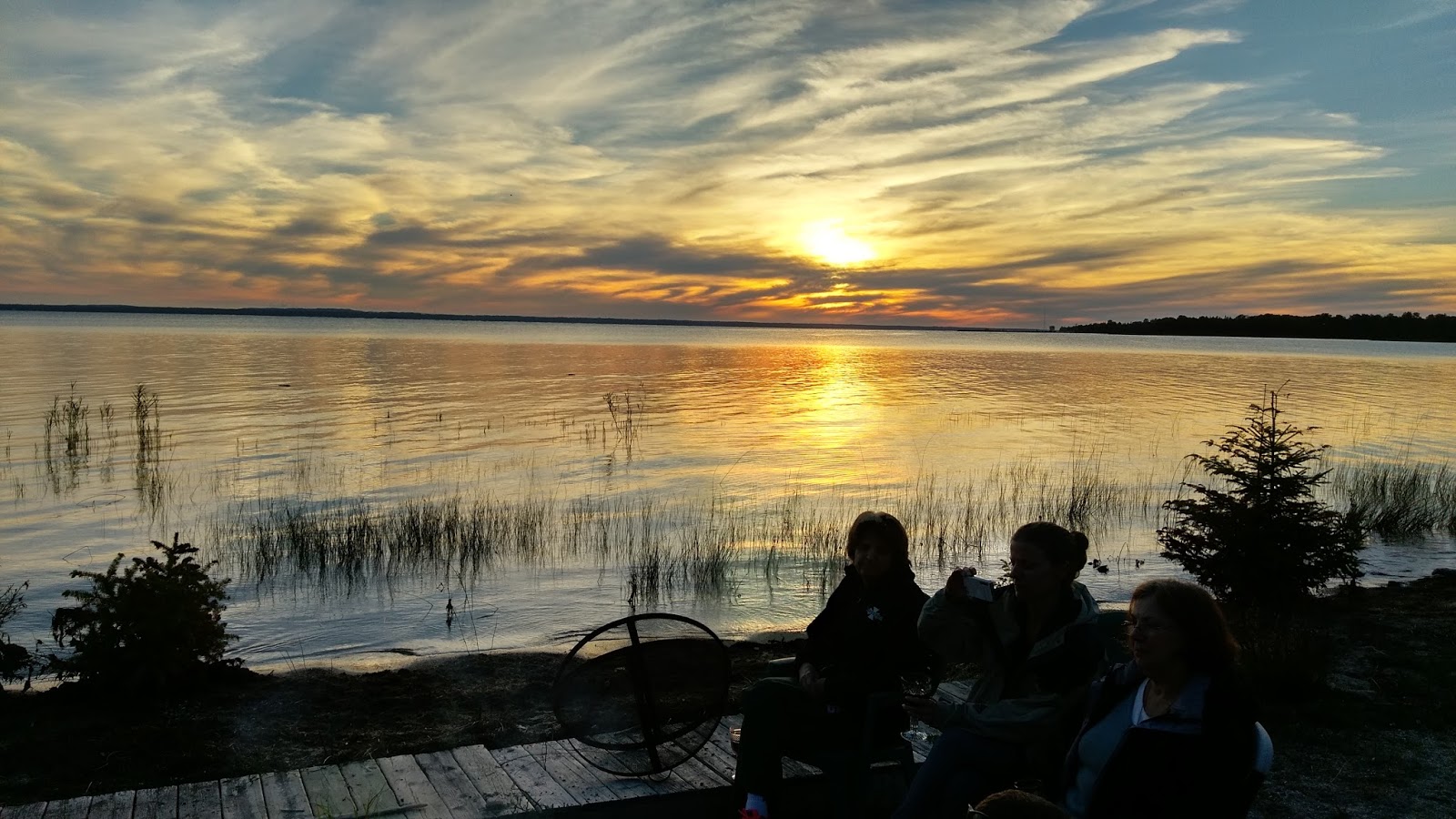 Lilly My Cat Bois Blanc Island Retreat