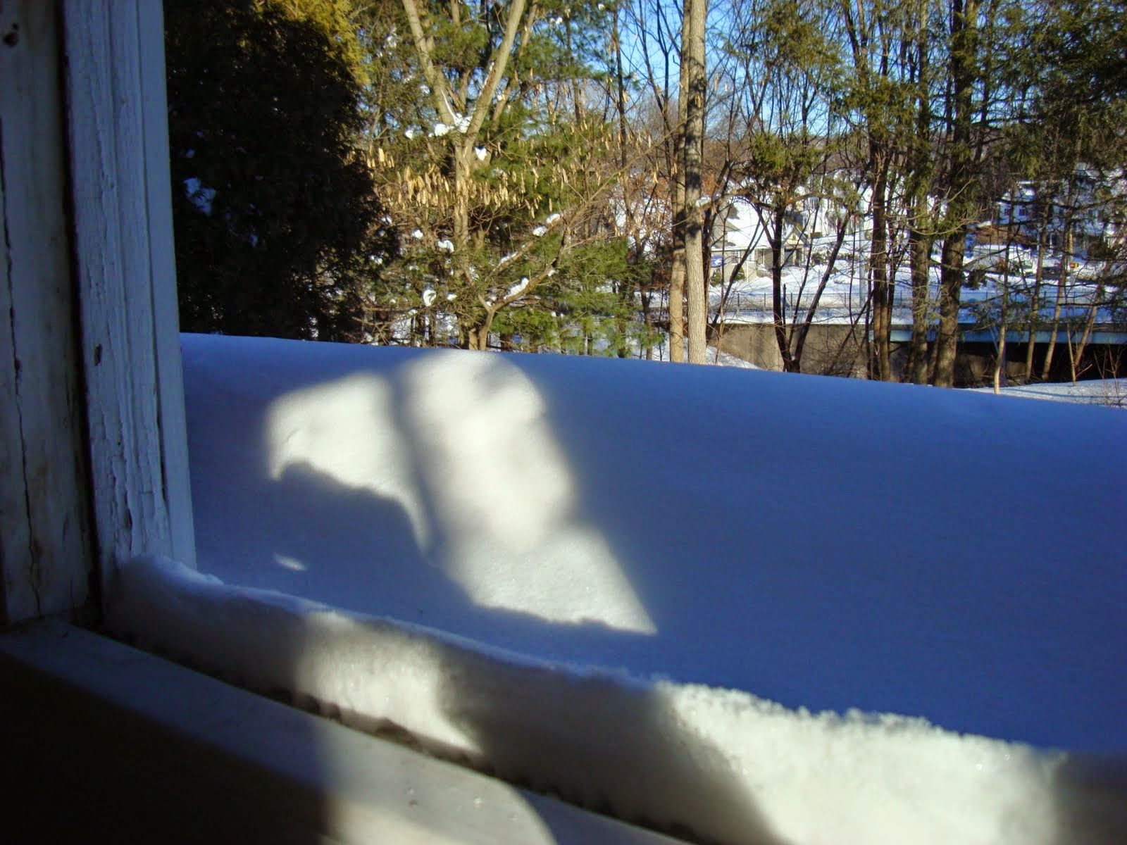 Unified Window Protect Your Home From Snow