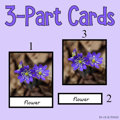 Montessori 3-Part Card Printables from In Our Pond #montessori #homeschool #freeprintables #homeschooling #montessoriathome #montessorihomeschool #montessorischool #printables