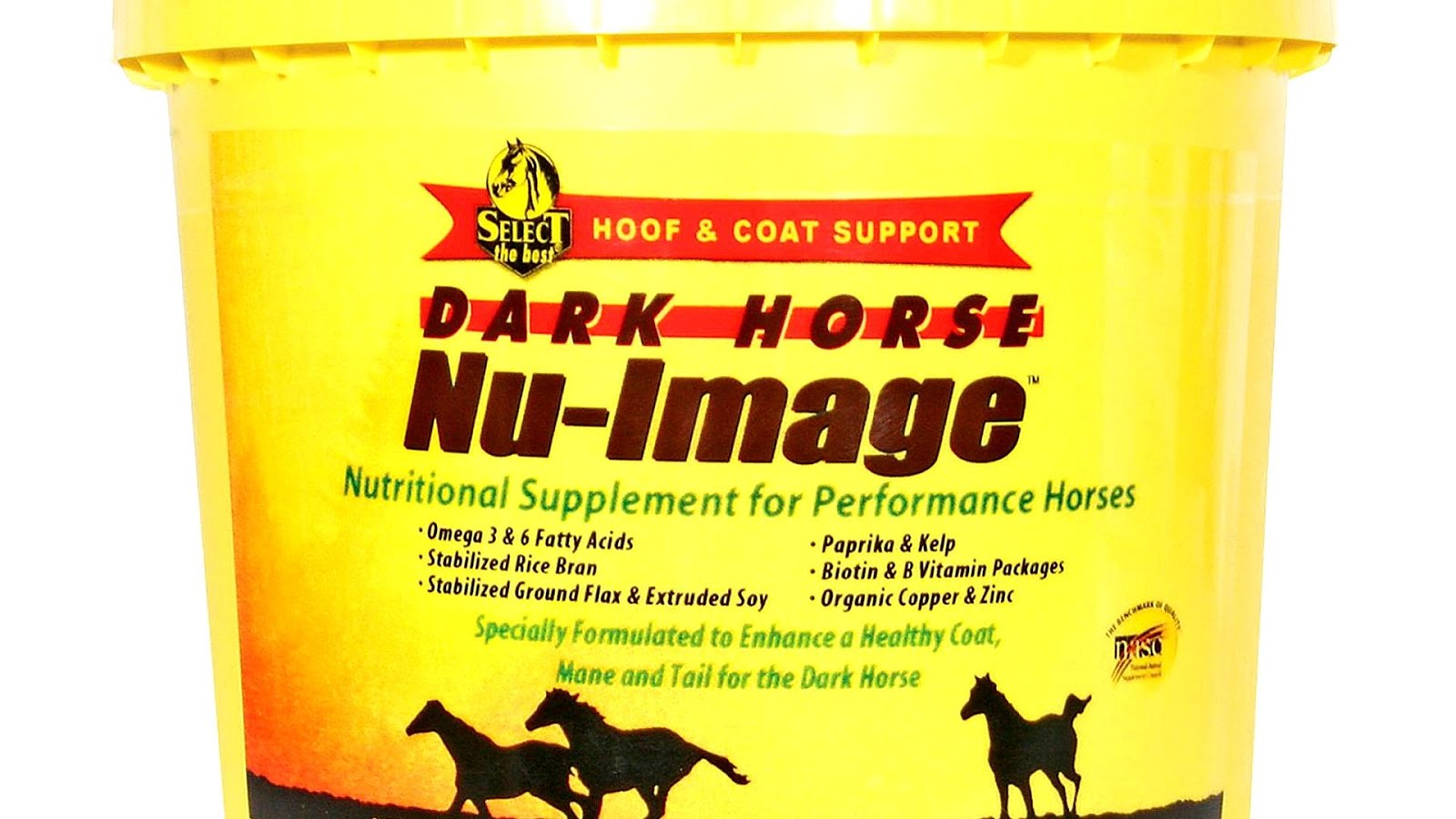 Copper Supplement For Horses Horse Choices
