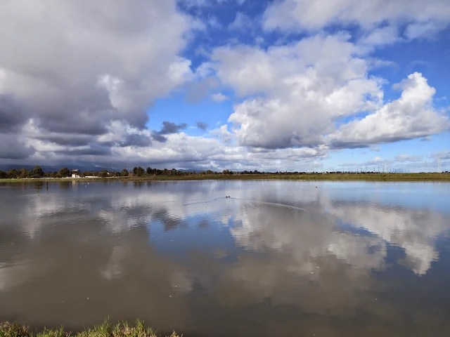 Cloud reflections on the wetlands at the Palo Alto Baylands