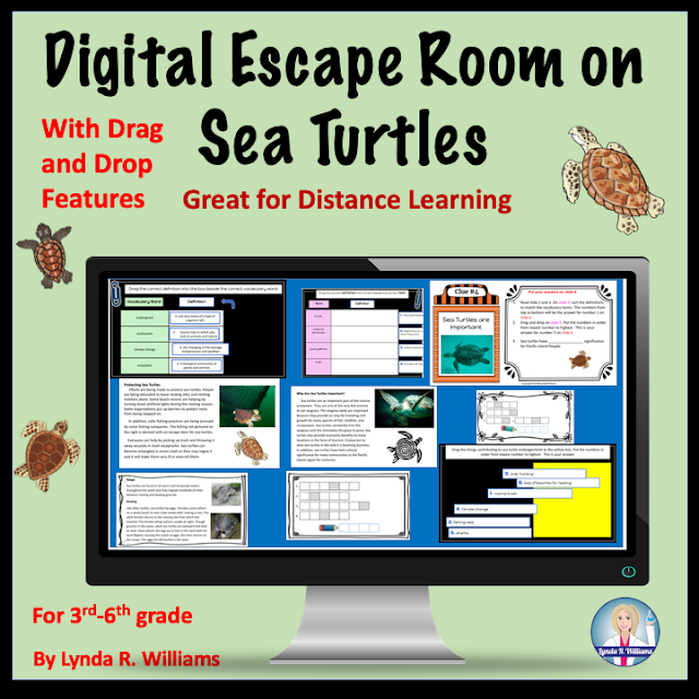 Distance Learning Escape Room