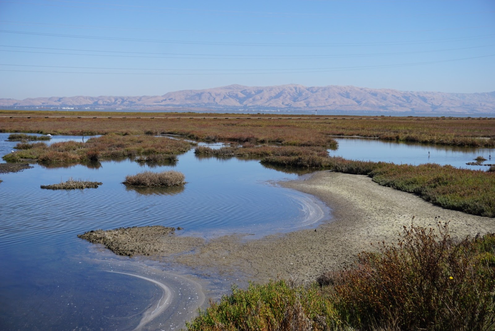 Baylands nature preserve