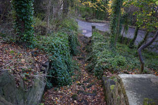 Armstrong Park "Cattle Run"