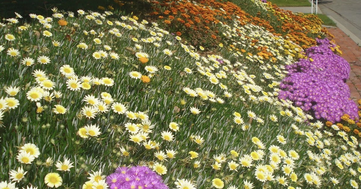 Family Favorites for Feeding Frenzies Freezer Jam