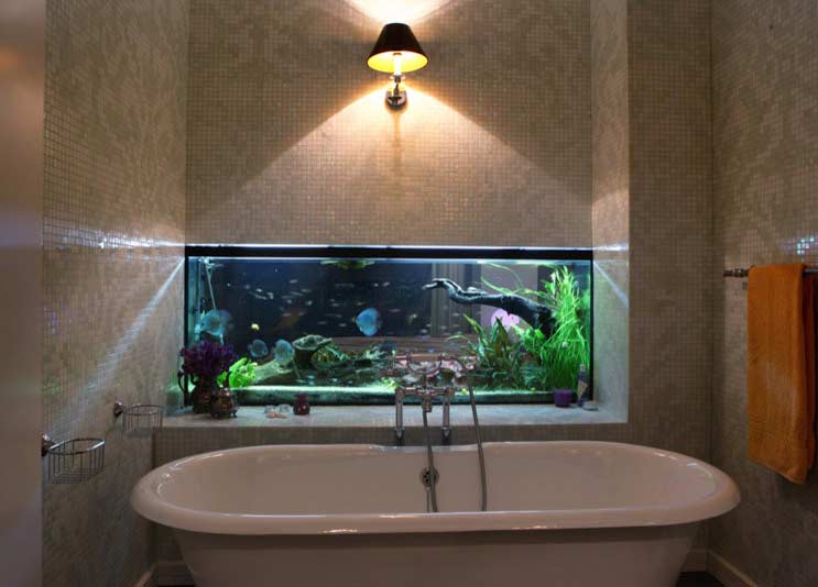 How to make wall aquarium and wall fish tank DIY