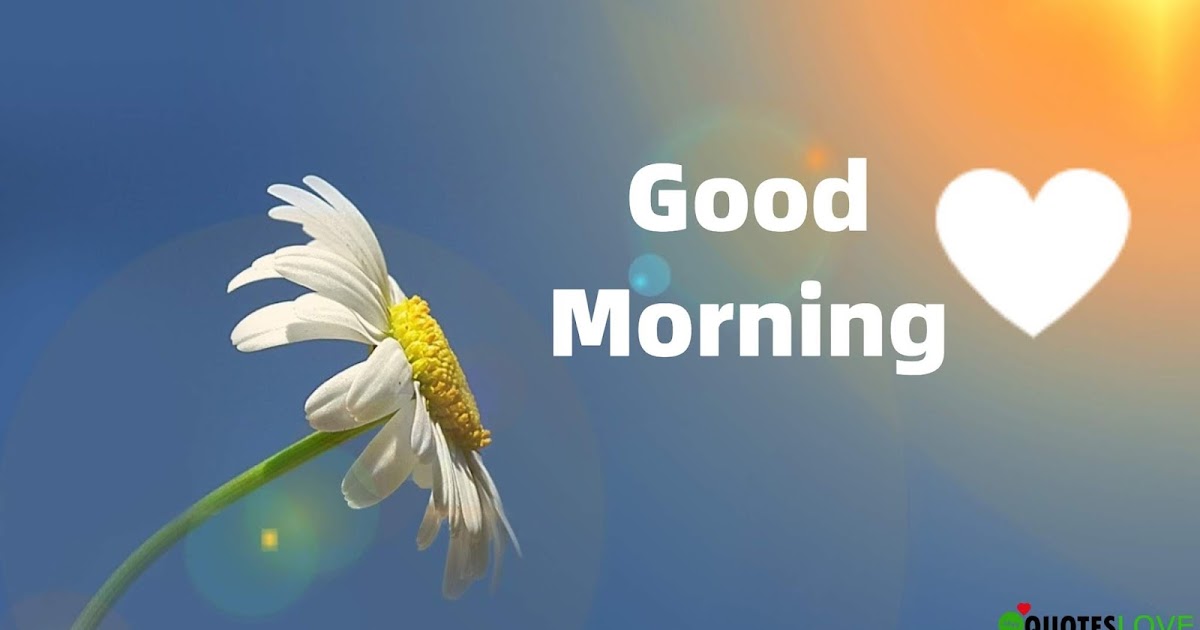 New Good Morning Quotes 105+ (New) Good Morning Quotes With Love