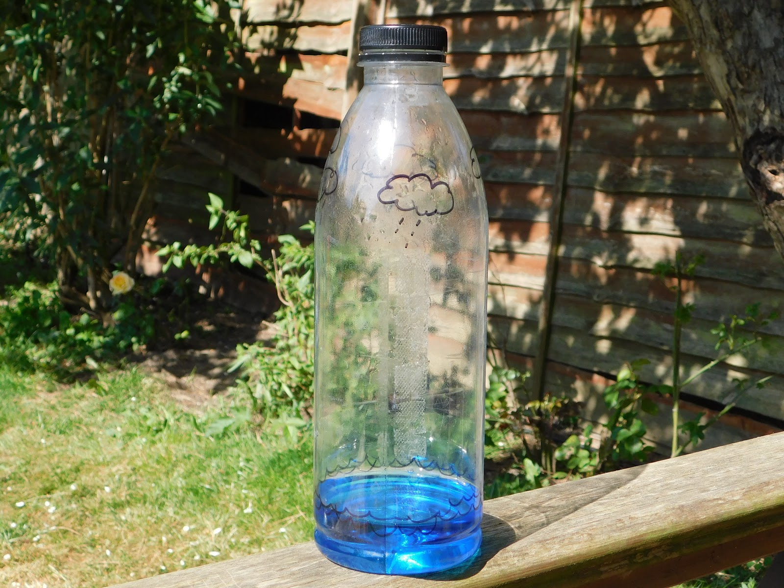 Water cycle in a bottle