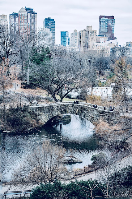 The Gapstow Bridge