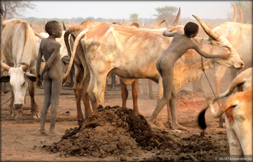 السفر إلى جنوب السودان لراغبي السياحة