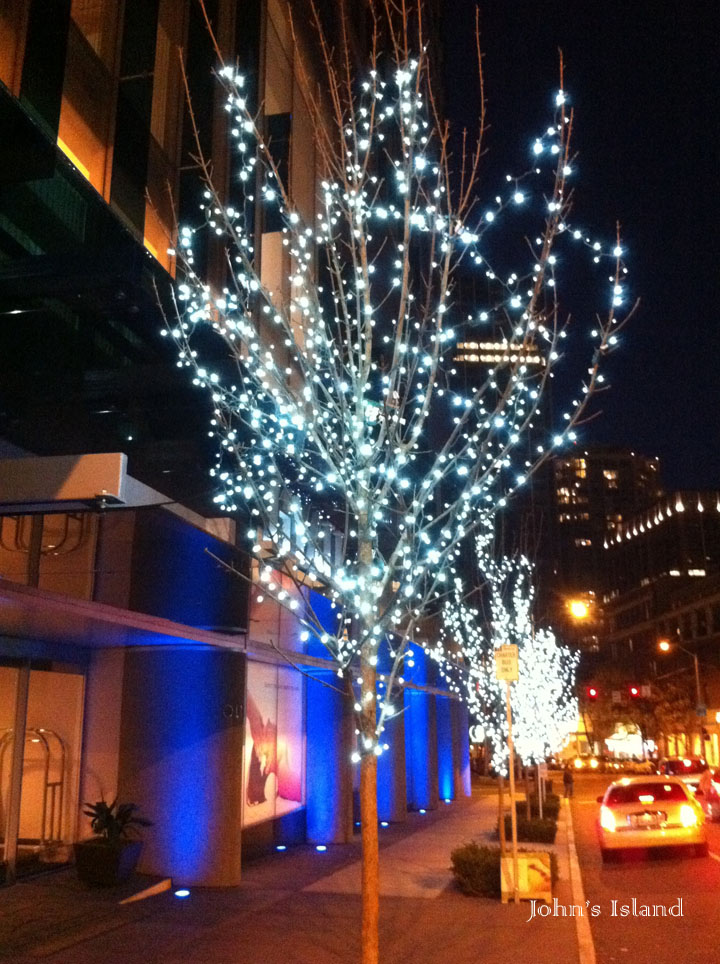 John's Island Seasonal Lights